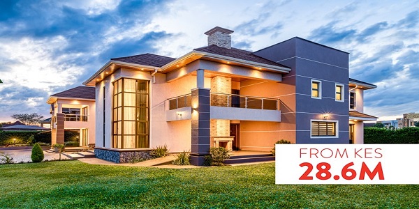 Tatu image for home catalogue