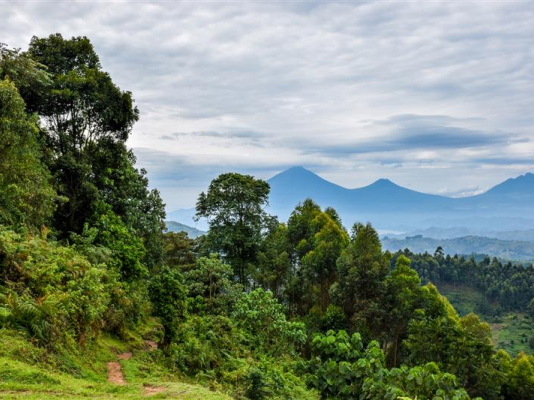 Uganda Image for Country Page