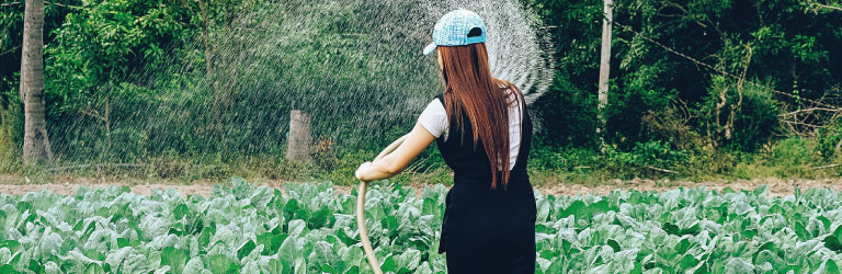 Spring-clean your finances for the new year -14 image set