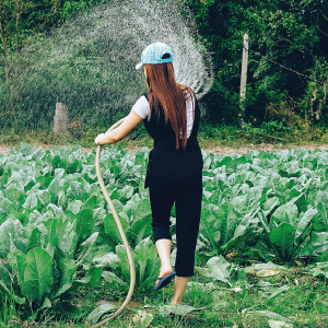 Spring-clean your finances for the new year -14 image set